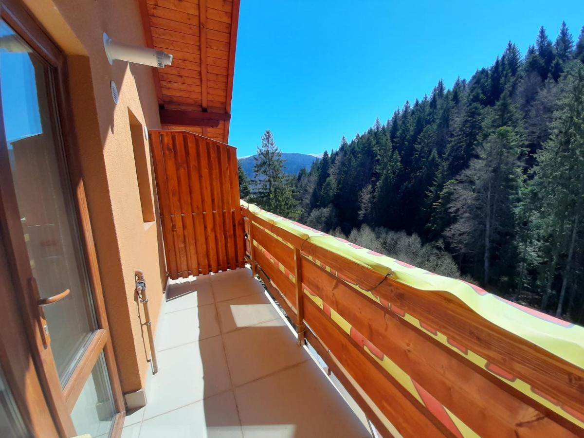 Kalinderu Skier'S Apartament Bellevue 부스테니 외부 사진