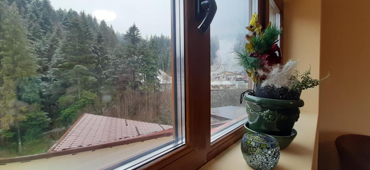 Kalinderu Skier'S Apartament Bellevue 부스테니 외부 사진