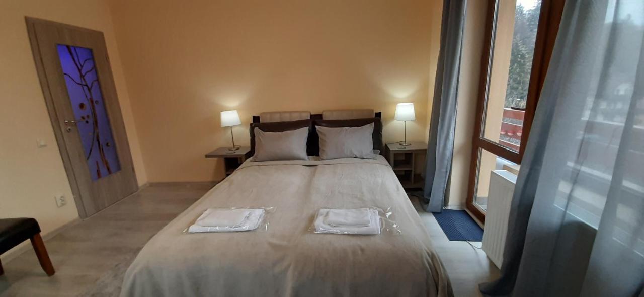 Kalinderu Skier'S Apartament Bellevue 부스테니 외부 사진