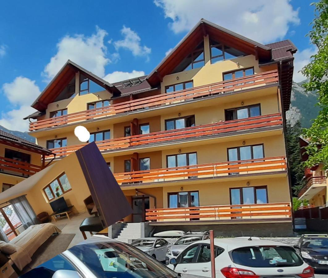 Kalinderu Skier'S Apartament Bellevue 부스테니 외부 사진