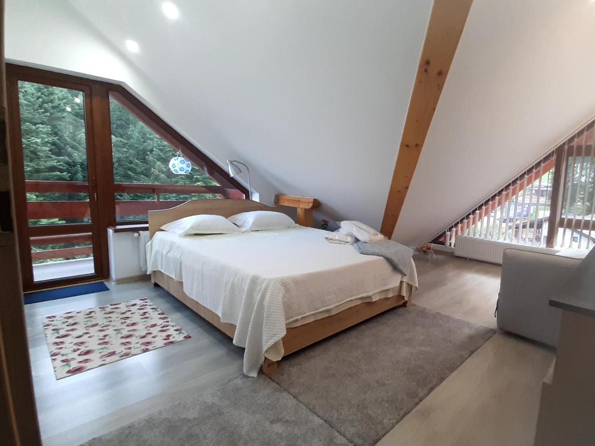 Kalinderu Skier'S Apartament Bellevue 부스테니 외부 사진