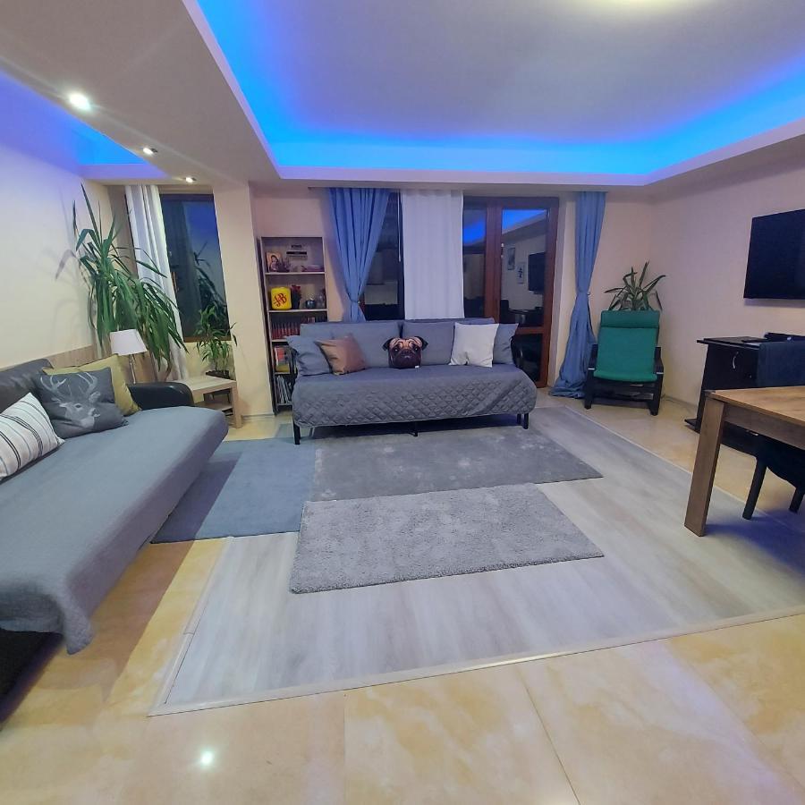 Kalinderu Skier'S Apartament Bellevue 부스테니 외부 사진